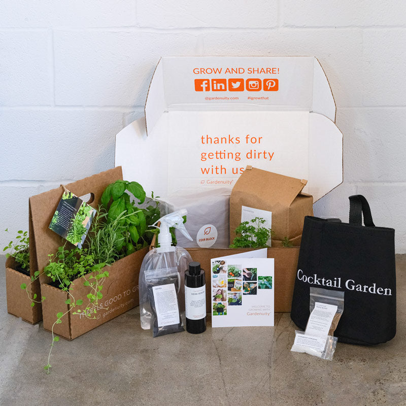 Cocktail Garden Kit with seasonal herbs