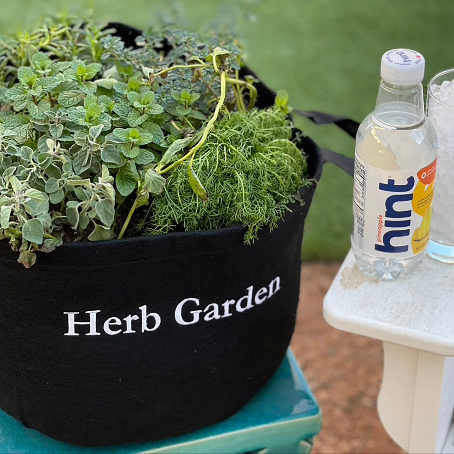 Herb Garden Kit with seasonal culinary herbs