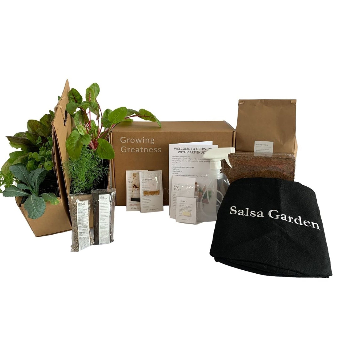 Salsa Garden Kit with pepper, tomato, + herbs