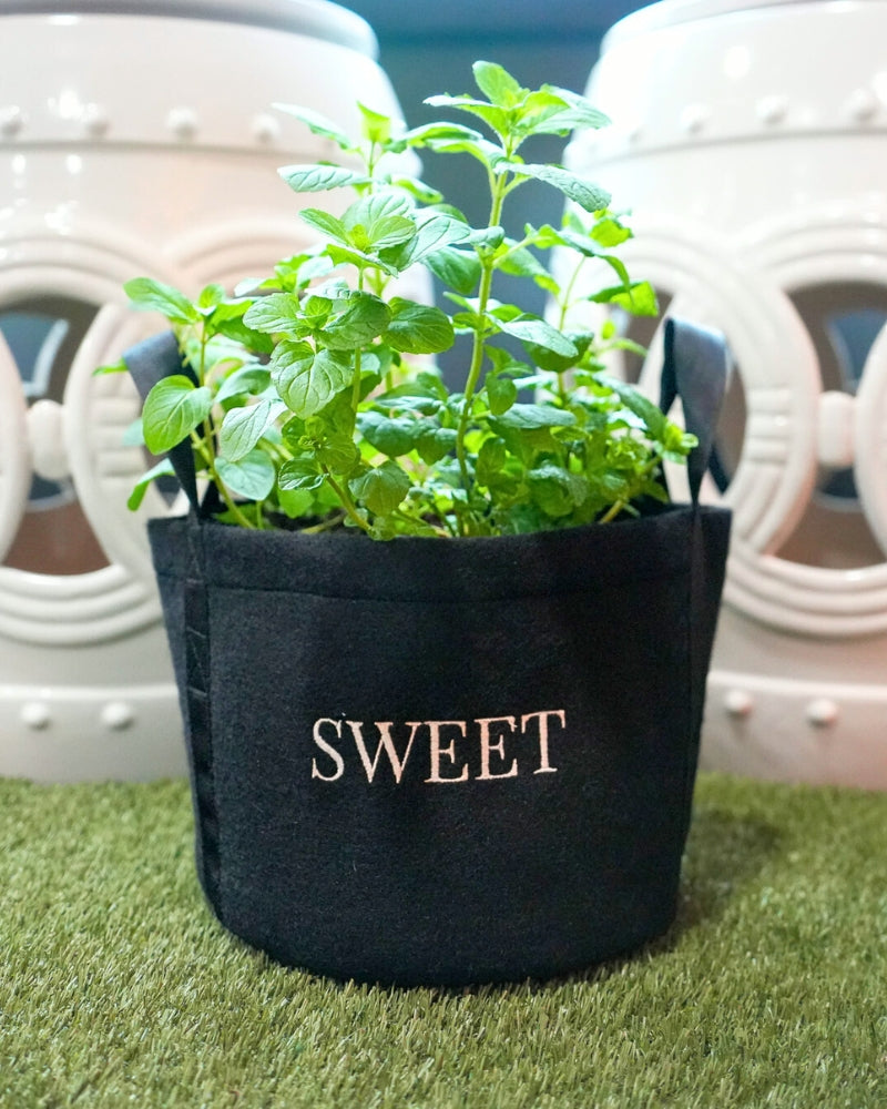 Sweet Mini Patio Garden Kit