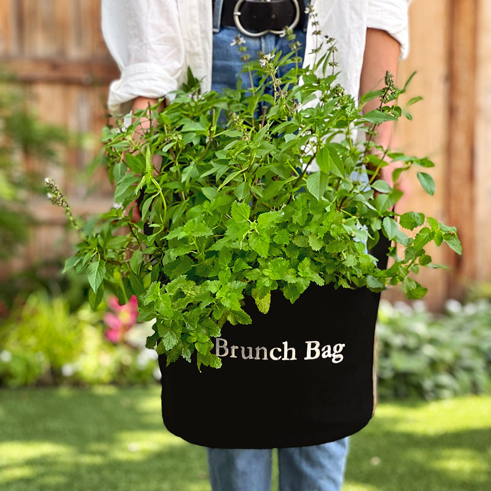 Brunch Bag Garden Kit‎ with seasonal herb plants