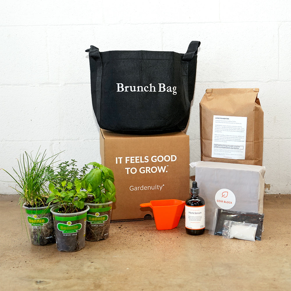 Brunch Bag Garden Kit‎ with seasonal herb plants