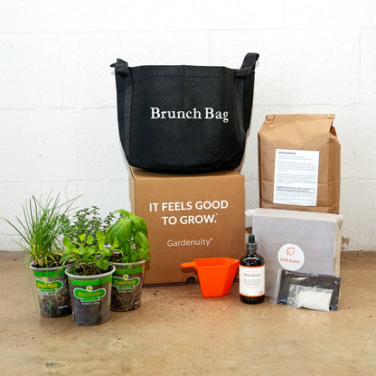 Brunch Bag Garden Kit‎ with seasonal herb plants
