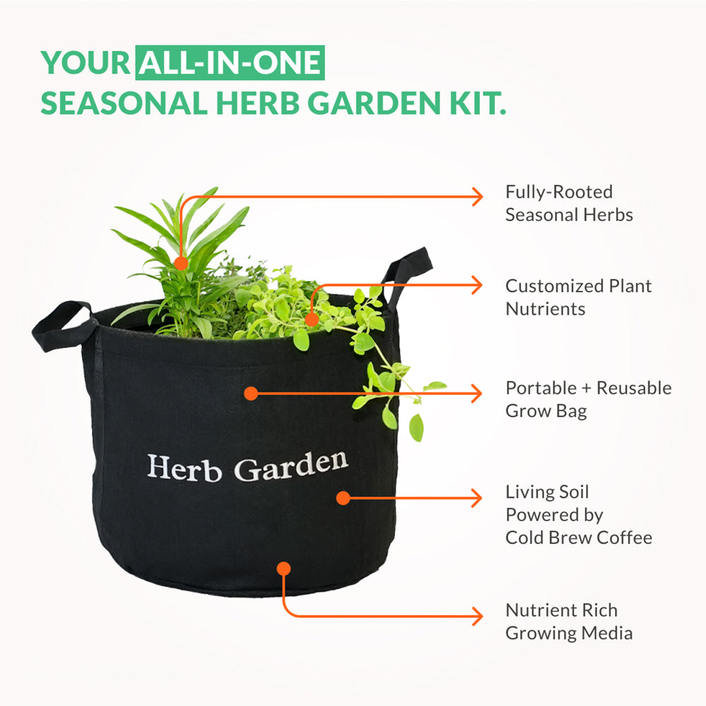 Herb Garden Kit‎ with seasonal culinary herbs