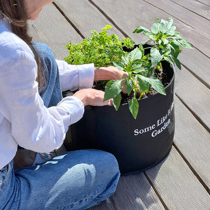 Some Like It Hot Garden Kit‎ with pepper + herb plants