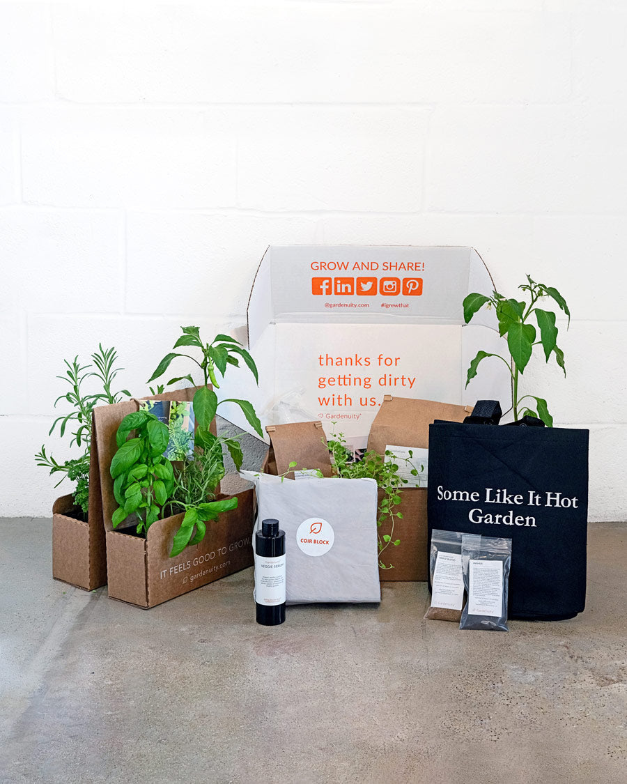 Some Like It Hot Garden Kit‎ with pepper + herb plants