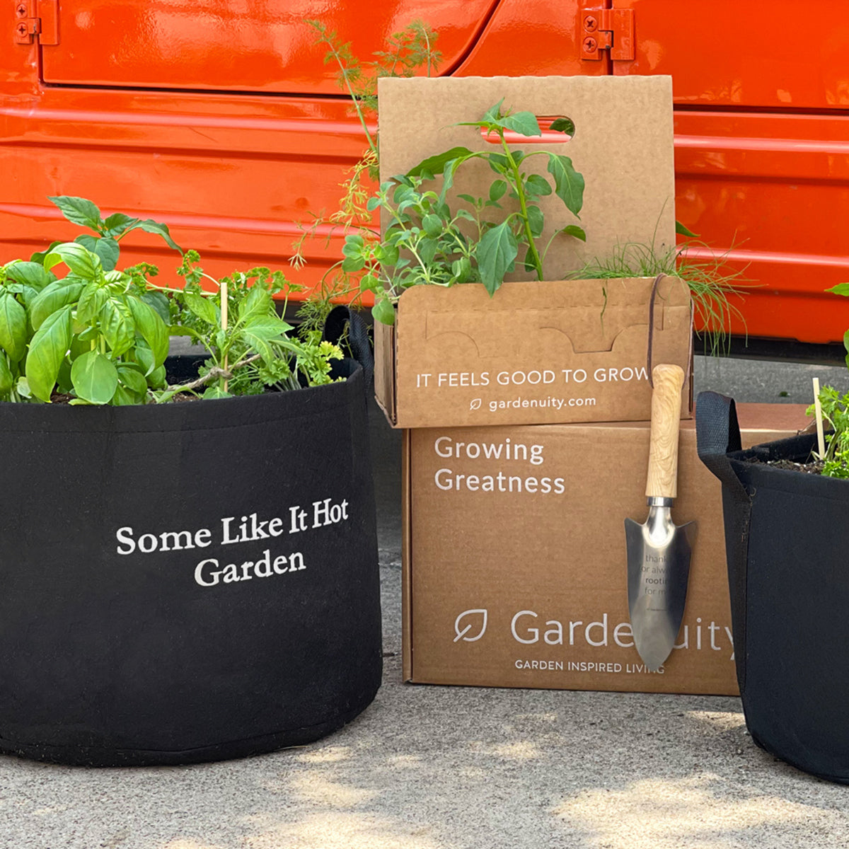 Some Like It Hot Garden Kit‎ with pepper + herb plants