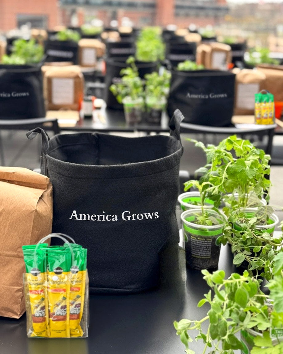 America Grows Garden Kit‎ with pepper + herbs