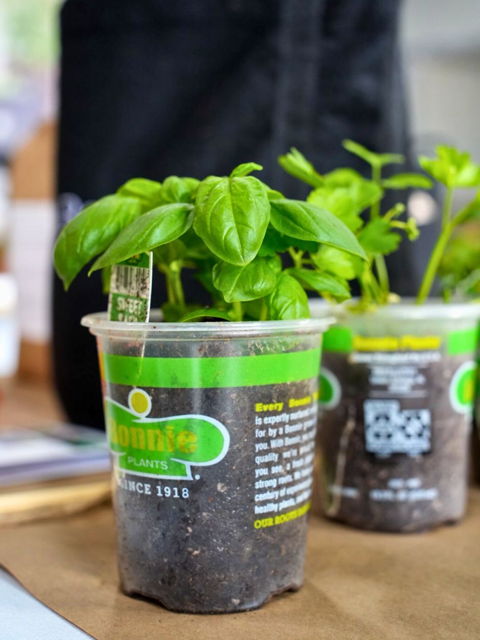 America Grows Garden Kit‎ with pepper + herbs