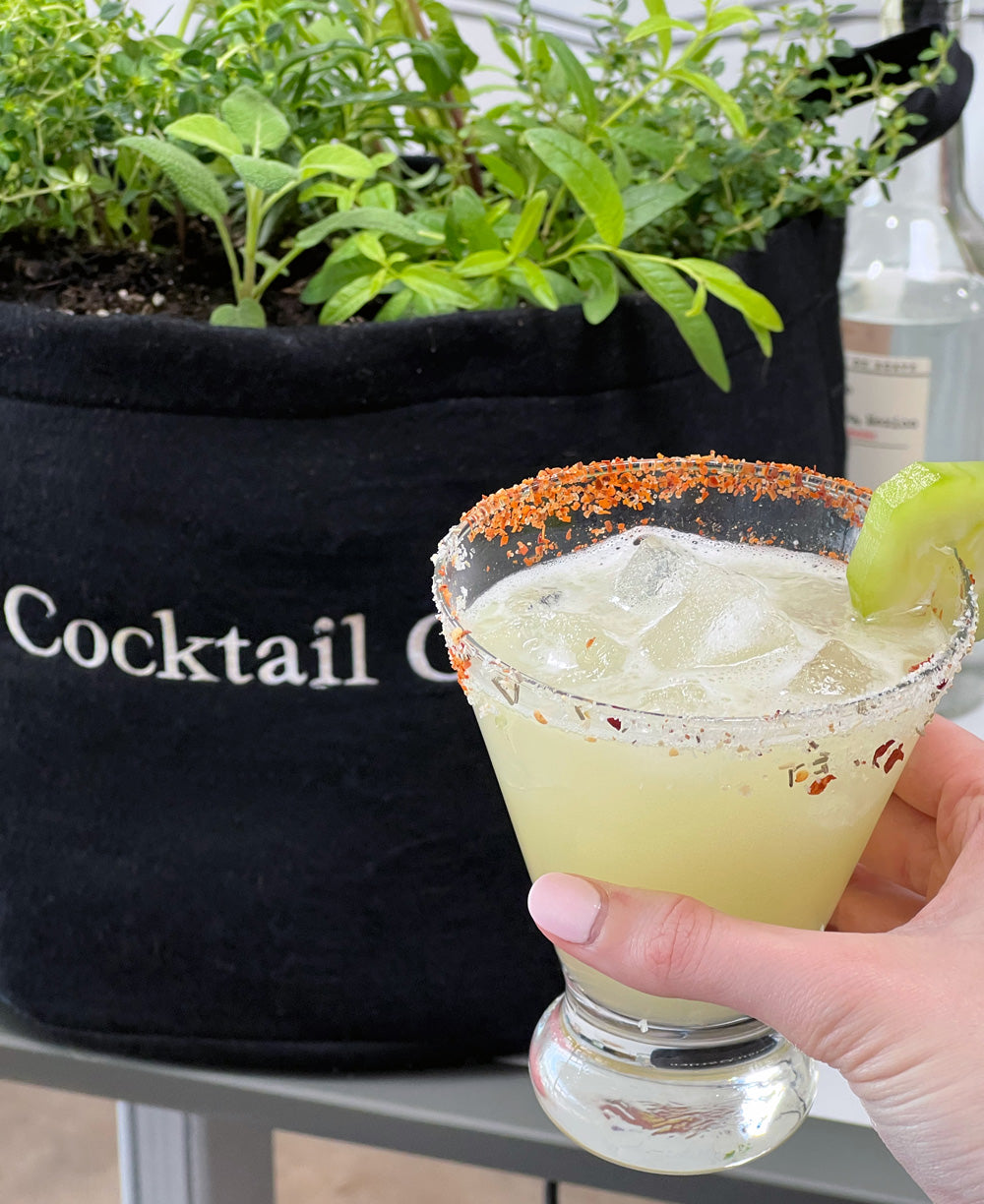 Cocktail Garden Kit‎ with seasonal herbs