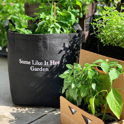 Some Like It Hot Garden Kit‎ with pepper + herb plants