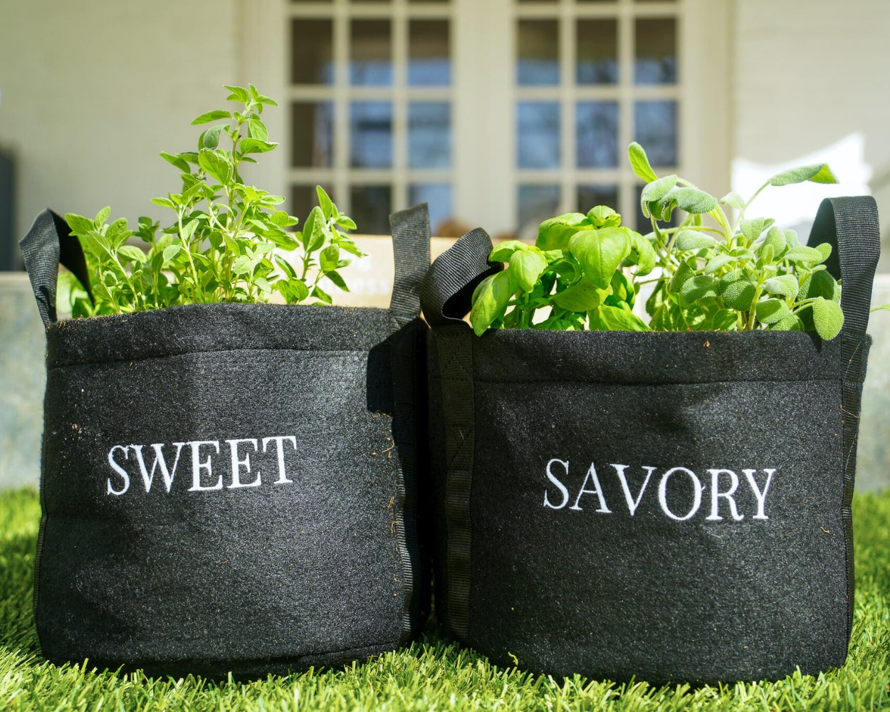Sweet Mini Patio Garden Kit