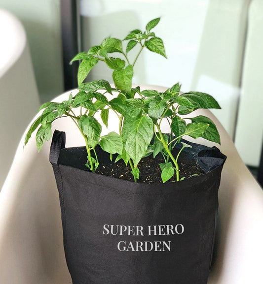 Super Hero Garden Kit‎ with pepper + herb plants